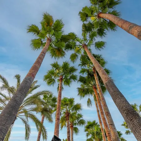 Semesteranläggning (resort) Meryan Okurcalar